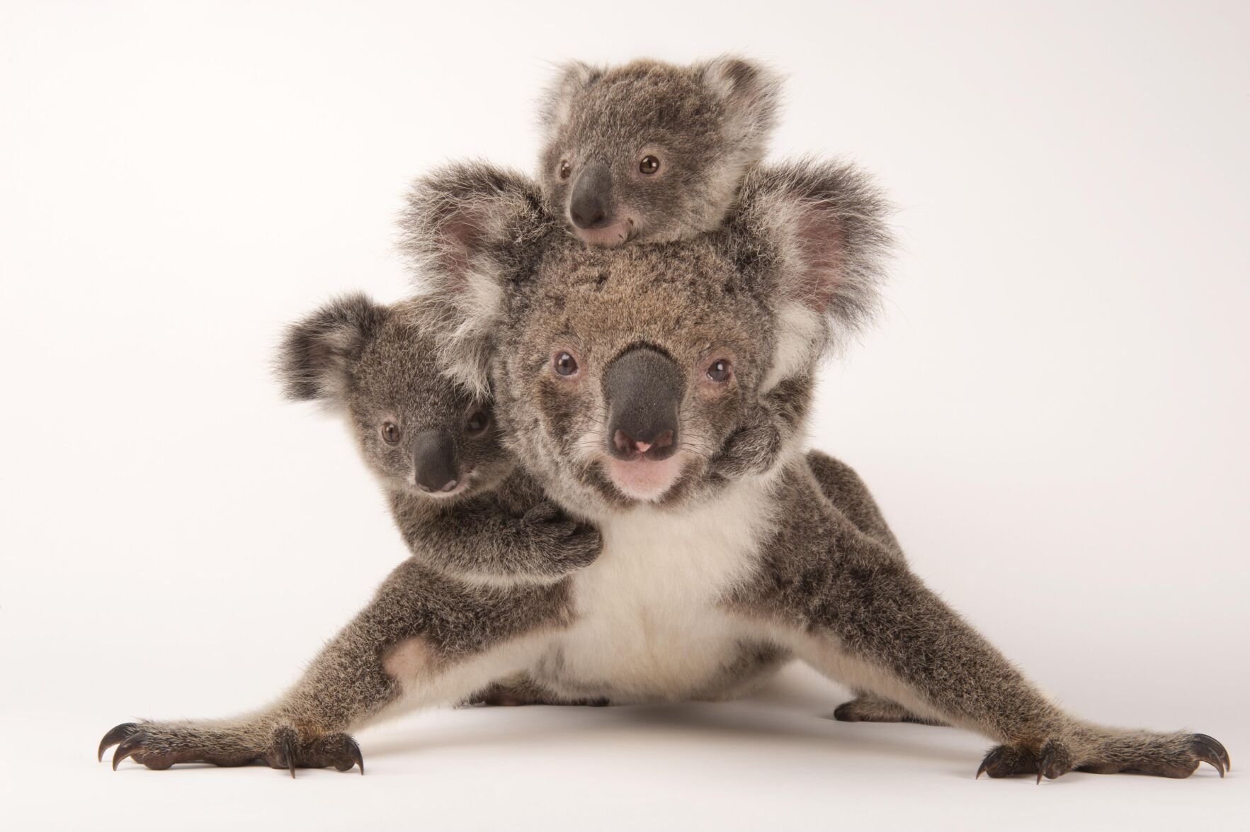 Photo by Photojournalist Joel Sartore